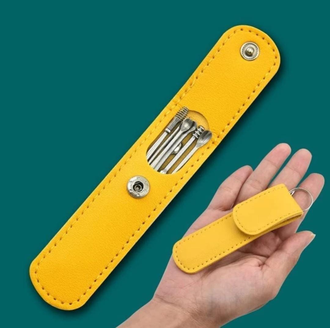 Stainless Steel Ear Wax Cleaner Set