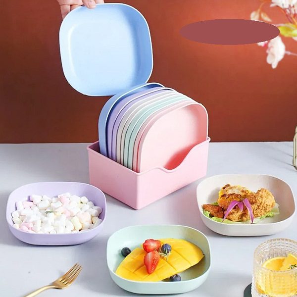 10Pcs Straw Square Plates with Storage Box