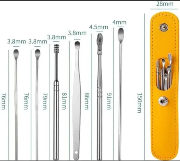 Stainless Steel Ear Wax Cleaner Set